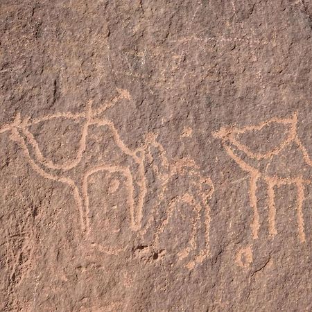 Wadi Rum Albasli 外观 照片