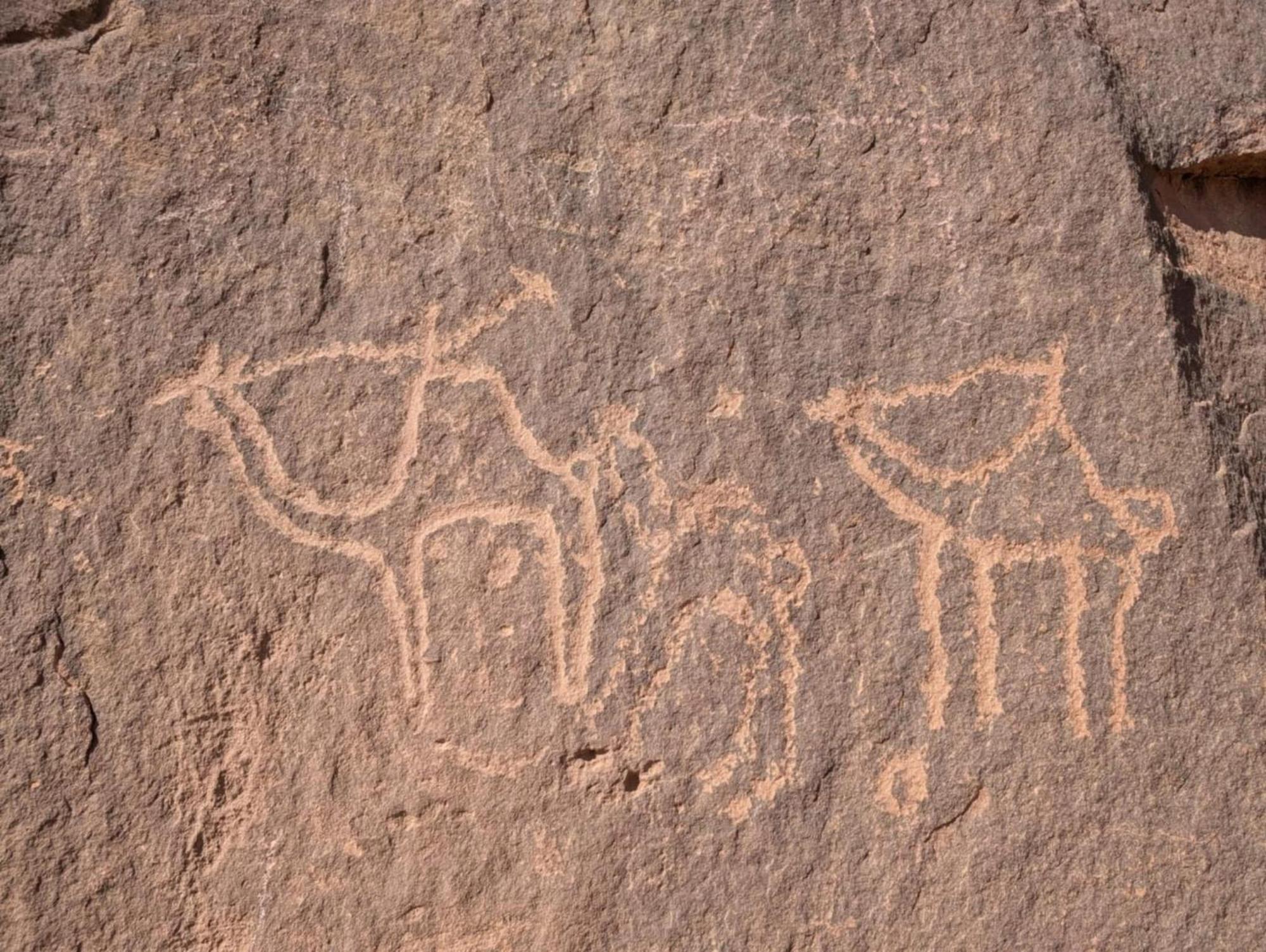 Wadi Rum Albasli 外观 照片