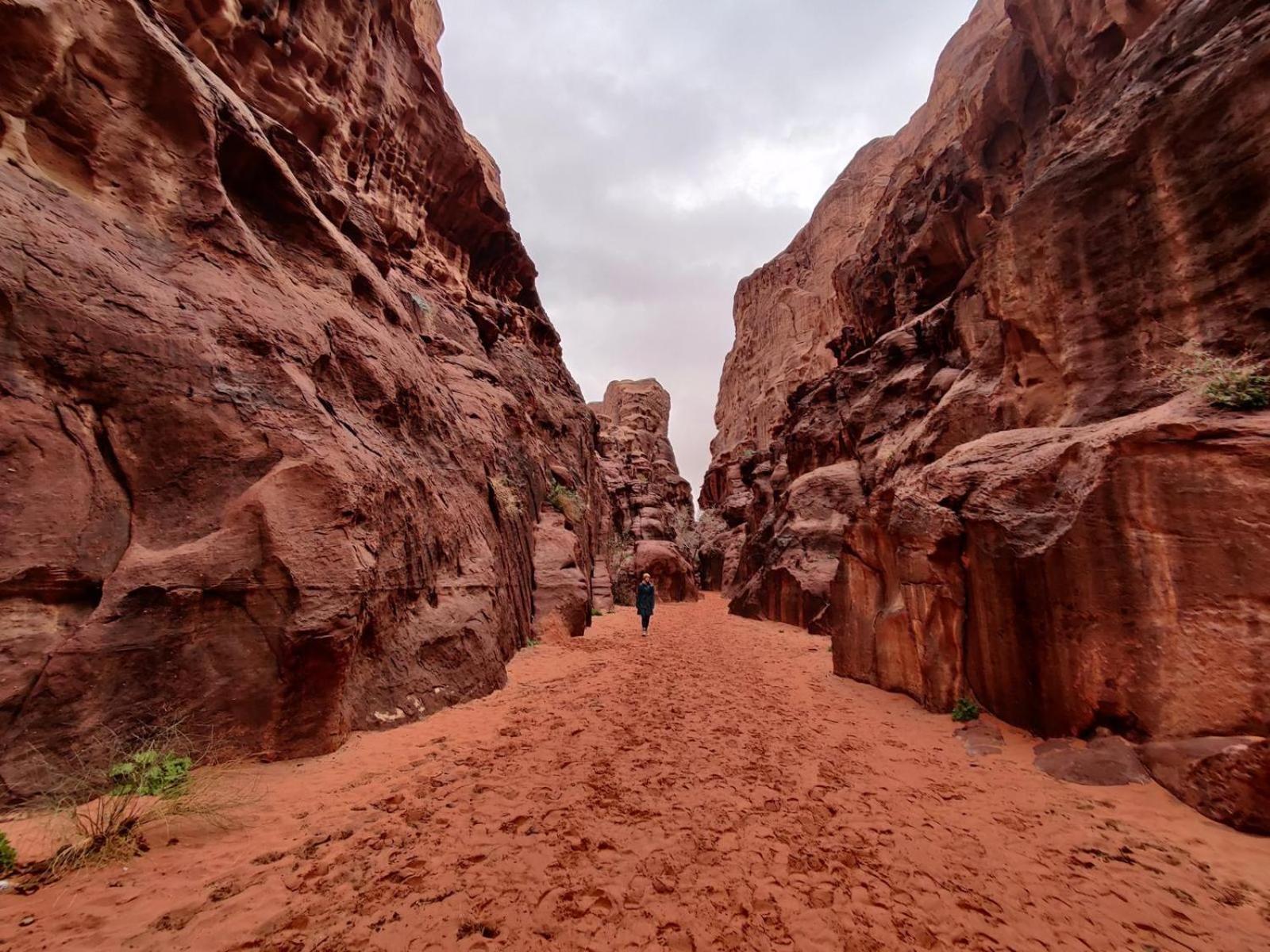 Wadi Rum Albasli 外观 照片